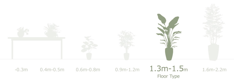◇日本製◇◇◇フェイクグリーン フィカスブランチツリー1.3 高さ1.3m